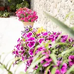 Villa La Bella - Luxury House Close To Corfu Town