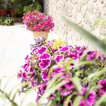 Vila La Bella - Luxury House Close To Corfu Town