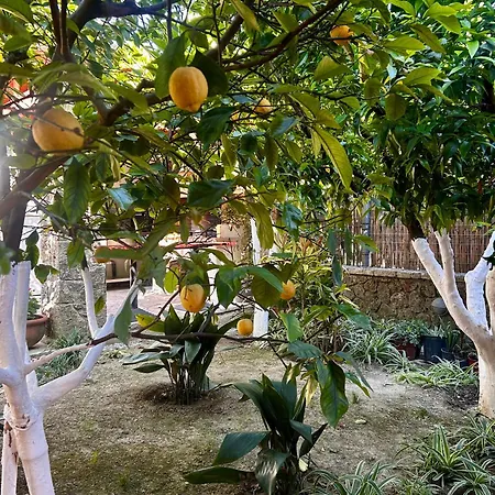 La Bella - Luxury House Close To Corfu Town Vila *