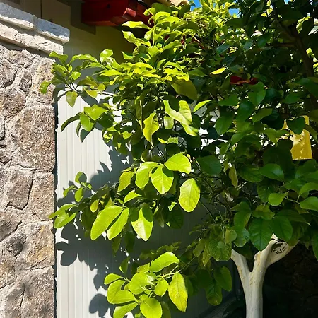 Vila La Bella - Luxury House Close To Corfu Town