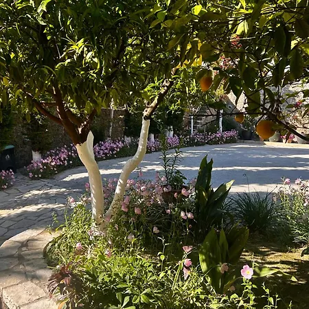 Vila La Bella - Luxury House Close To Corfu Town Potamós