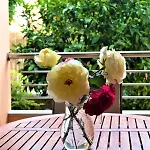 La Bella - Luxury House Close To Corfu Town Potamos (Corfu)